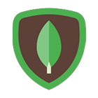 MongoDB - NoSQL Database | SGR Software Solution Tech Stack